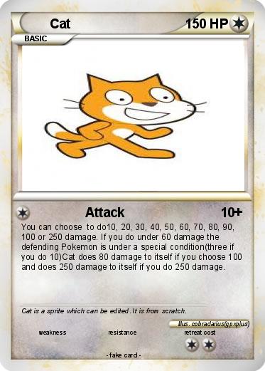 Pokemon Cat