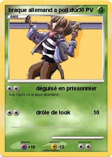 Pokemon braque allemand a poil dur