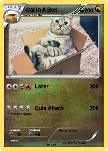 Pokemon Cat In A Box