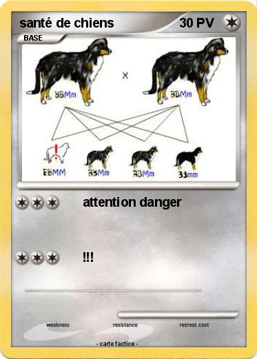 Pokemon santé de chiens