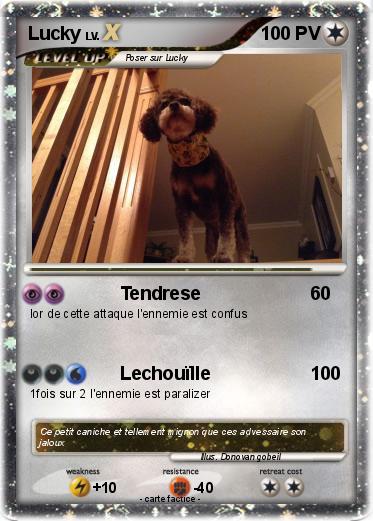 Pokemon Lucky