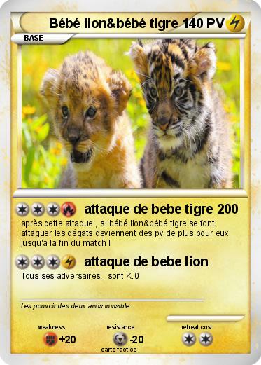 Pokemon Bébé lion&bébé tigre