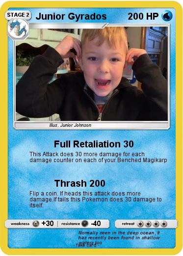 Pokemon Junior Gyrados