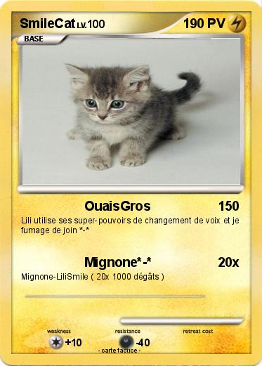 Pokemon SmileCat