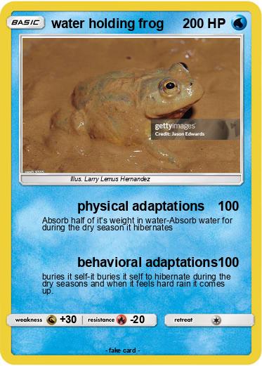 Pokemon water holding frog