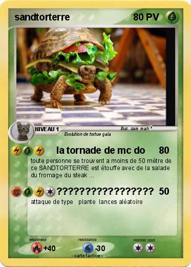 Pokemon sandtorterre