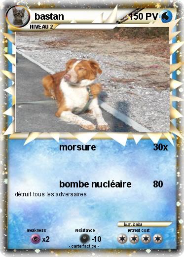 Pokemon bastan