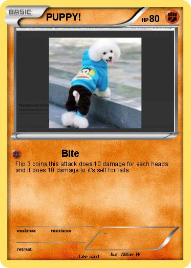 Pokemon PUPPY!