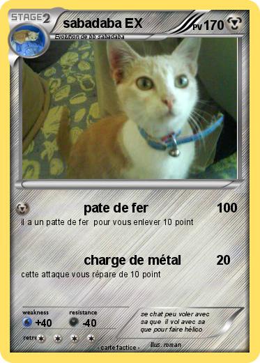 Pokemon sabadaba EX
