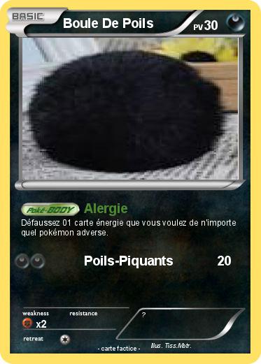 Pokemon Boule De Poils
