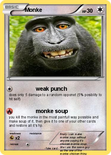 Pokemon Monke