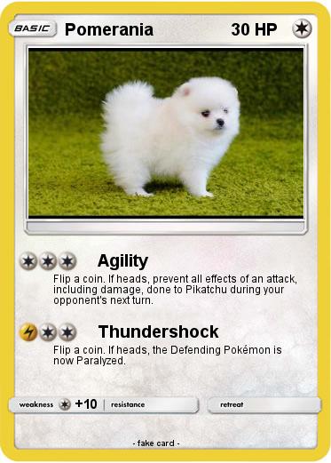 Pokemon Pomerania
