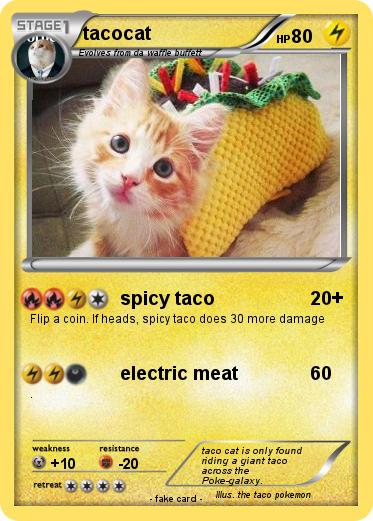 Pokemon tacocat