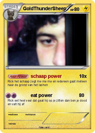 Pokemon GoldThunderSheep