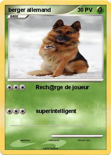 Pokemon berger allemand
