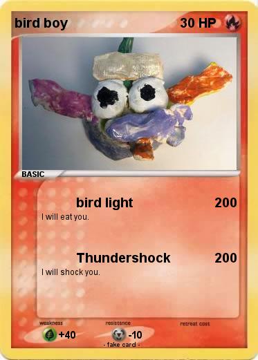 Pokemon bird boy