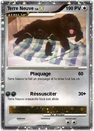 Pokemon Terre Neuve
