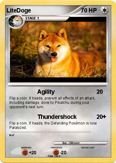 Pokemon LiteDoge