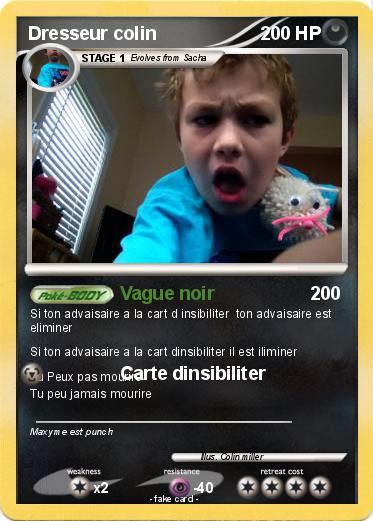 Pokemon Dresseur colin