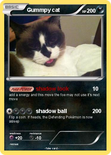 Pokemon Gummpy cat