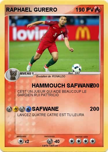 Pokemon RAPHAEL GURERO