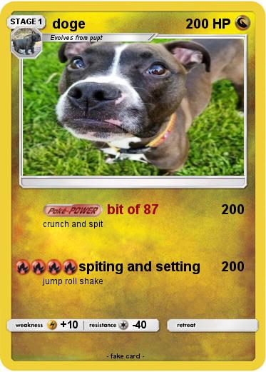 Pokemon doge