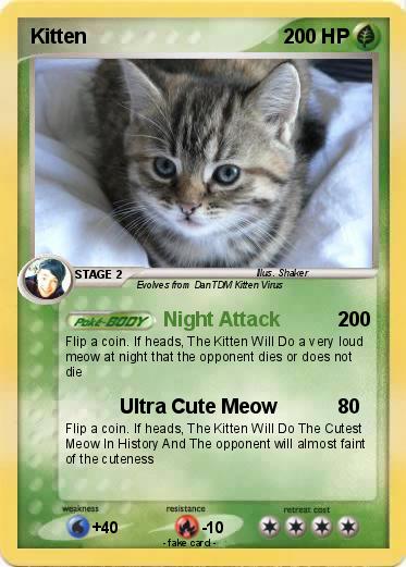 Pokemon Kitten