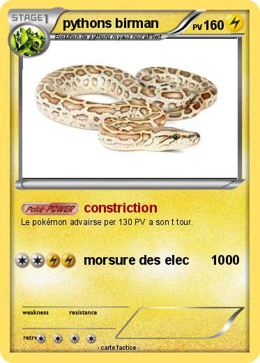 Pokemon pythons birman