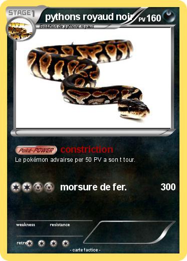 Pokemon pythons royaud noir
