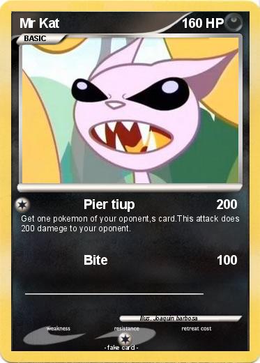 Pokemon Mr Kat