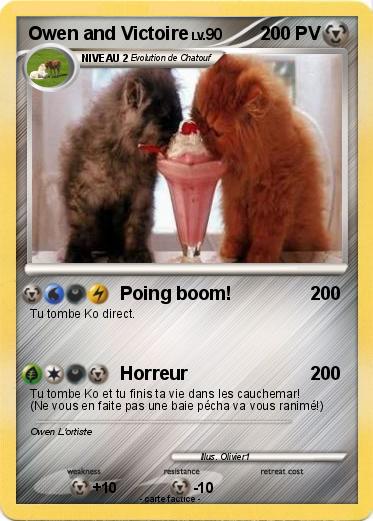 Pokemon Owen and Victoire