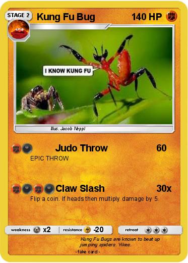 Pokemon Kung Fu Bug
