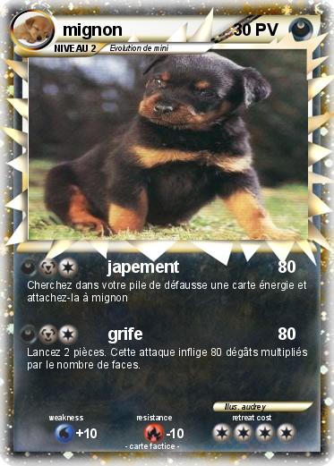 Pokemon mignon