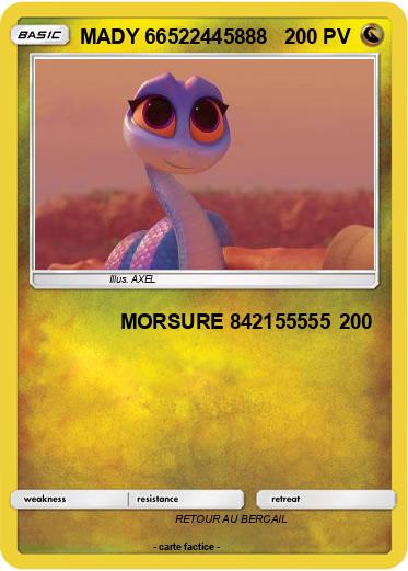 Pokemon MADY 66522445888