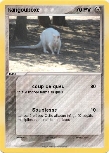 Pokemon kangouboxe