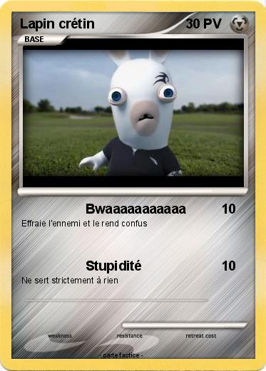 Pokemon Lapin crétin