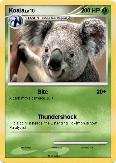 Pokemon Koala