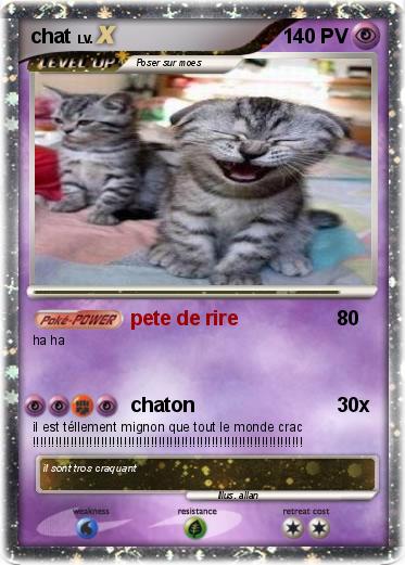 Pokemon chat