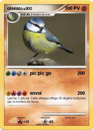 Pokemon oiseau