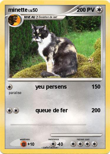 Pokemon minette
