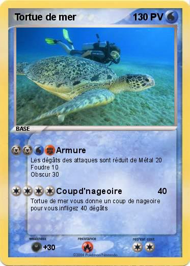 Pokemon Tortue de mer