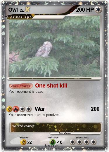 Pokemon Owl