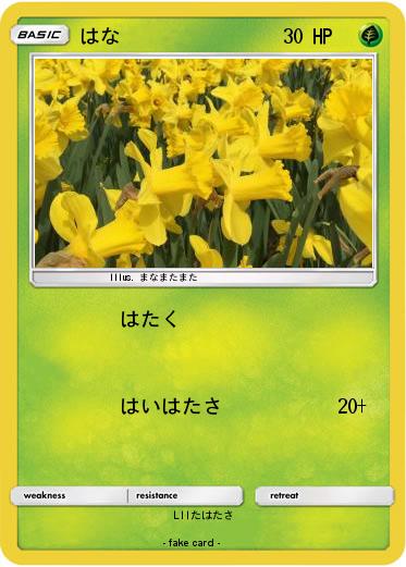 Pokemon はな