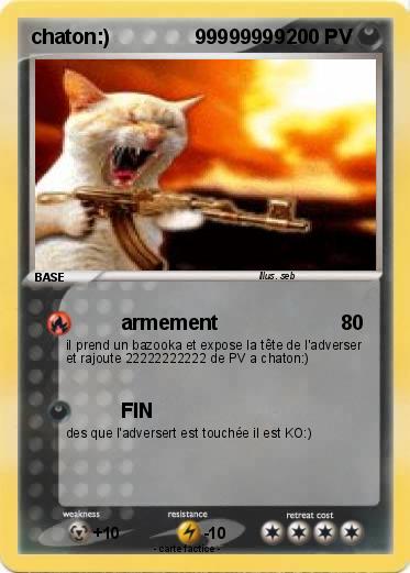 Pokemon chaton:)               99999999