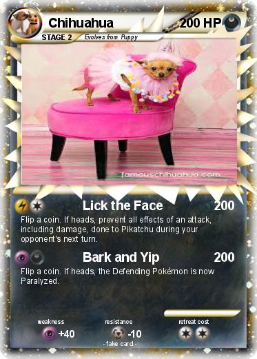 Pokemon Chihuahua