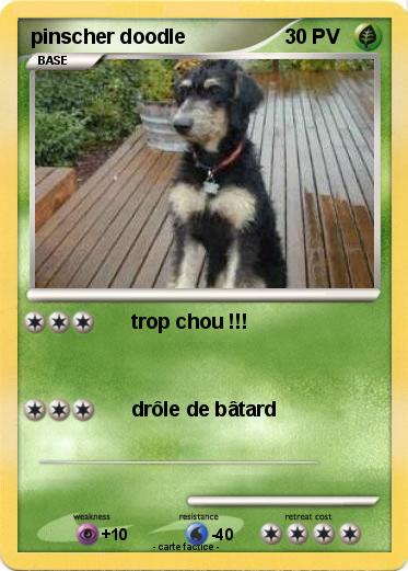 Pokemon pinscher doodle