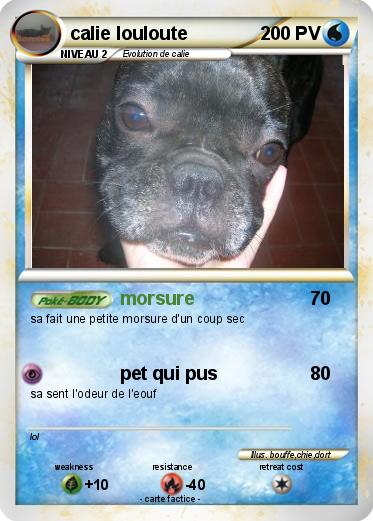 Pokemon calie louloute