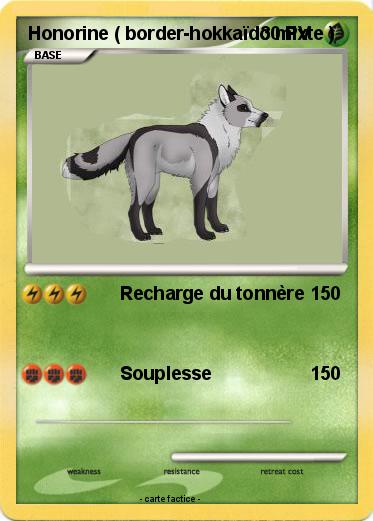 Pokemon Honorine ( border-hokkaïdo mixte )
