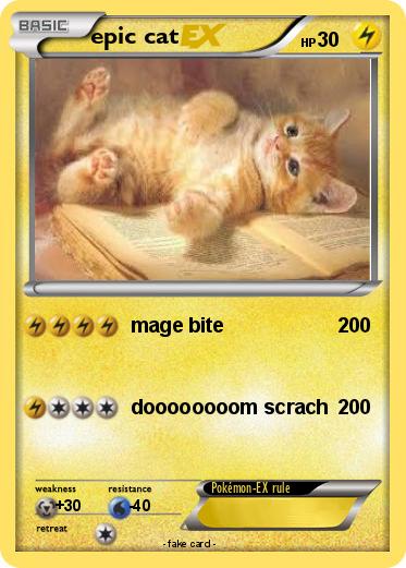 Pokemon epic cat