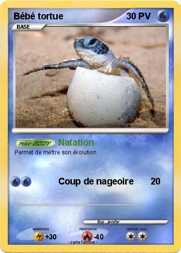 Pokemon Bébé tortue